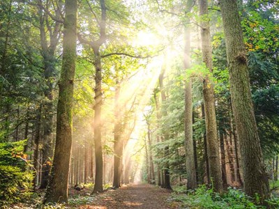 Winter Wellbeing Health Guide