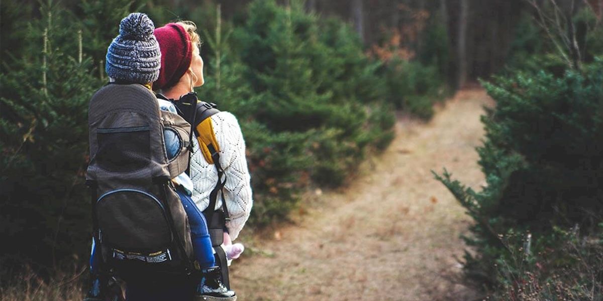 Festival of Winter Walks - wonderful places to walk in the UK