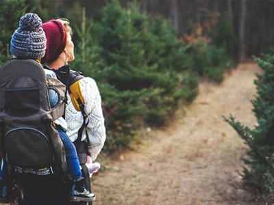 Festival of Winter Walks - wonderful places to walk in the UK