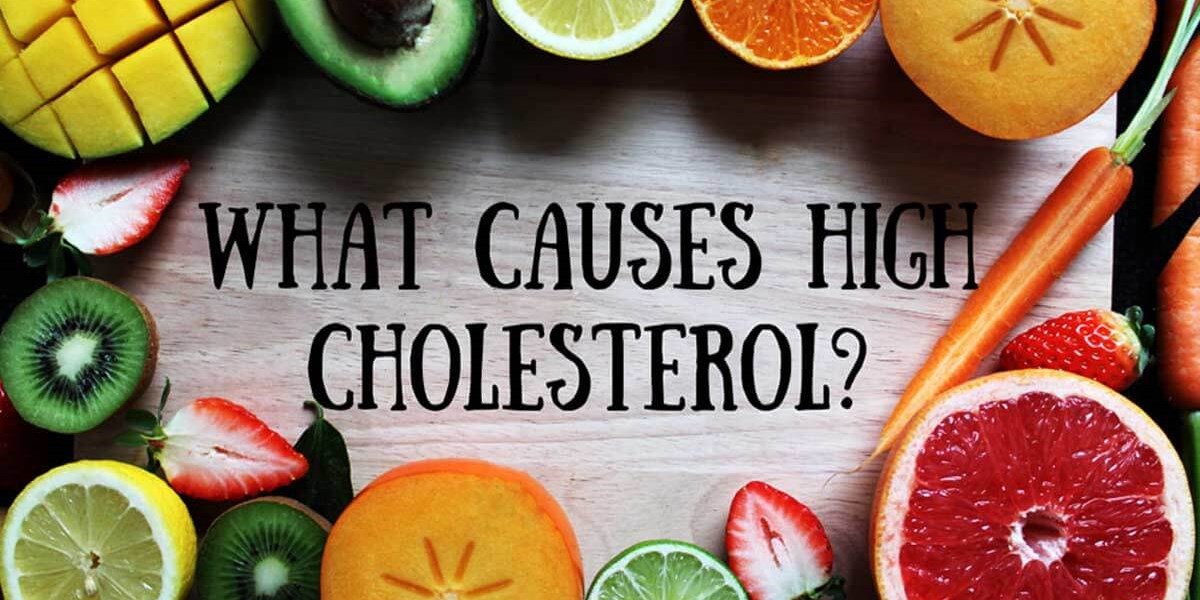What causes high cholesterol?