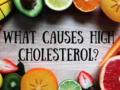 What is Cholesterol?