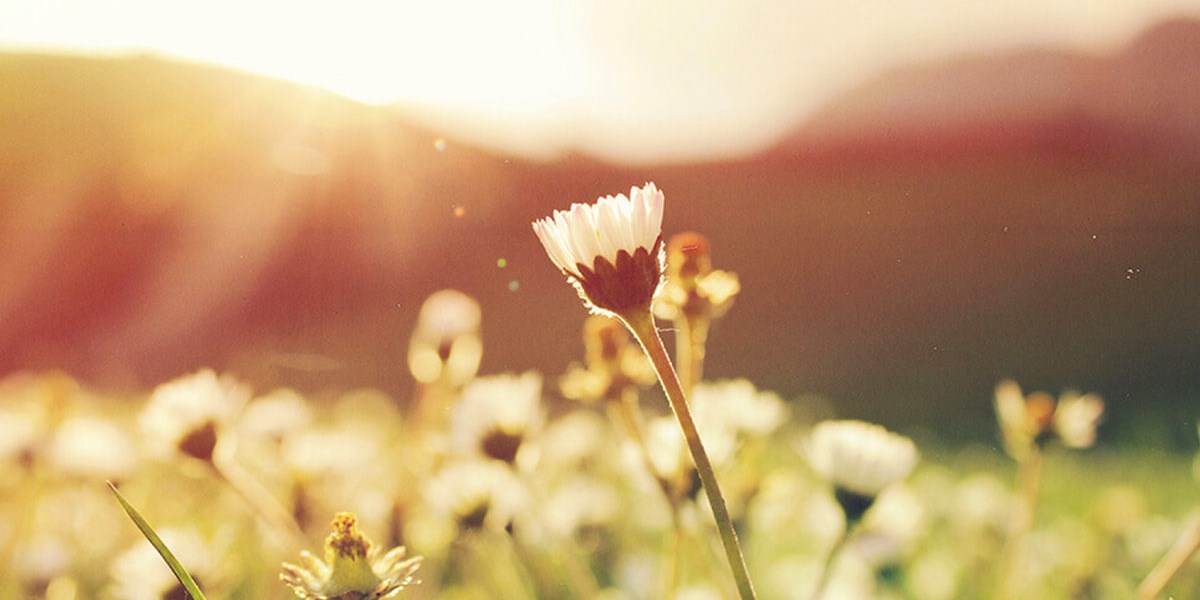 Health benefits of daylight