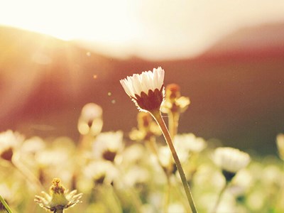 Daylight health benefits