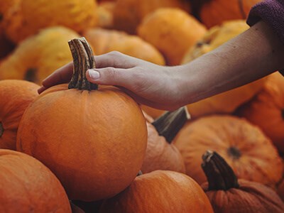 Left-over Halloween Pumpkin Recipes