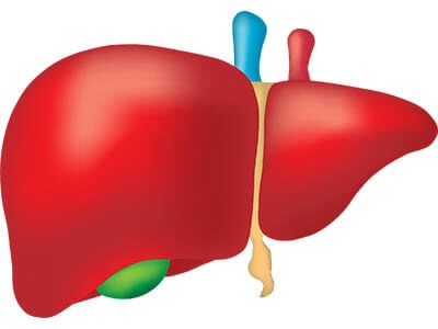 Love Your Liver