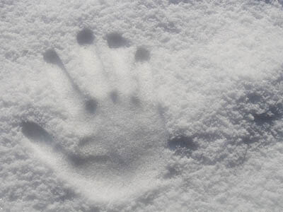 Raynaud’s Awareness Month: What is Raynaud’s Phenomenon?