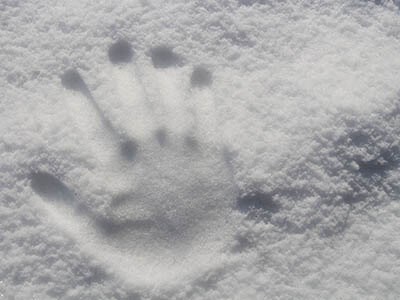 Raynaud’s Awareness Month: What is Raynaud’s Phenomenon?