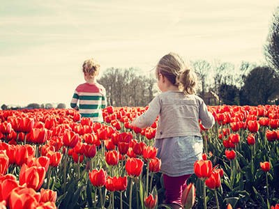 Look after your family's health this spring