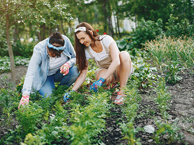 The healing power of gardens: boosting your mental health and wellbeing