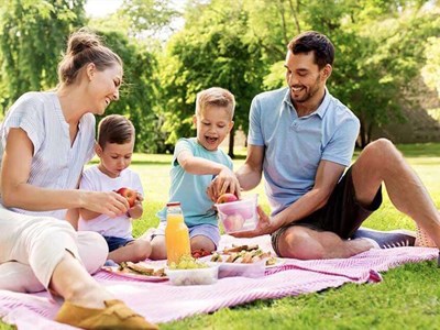 Family Picnic