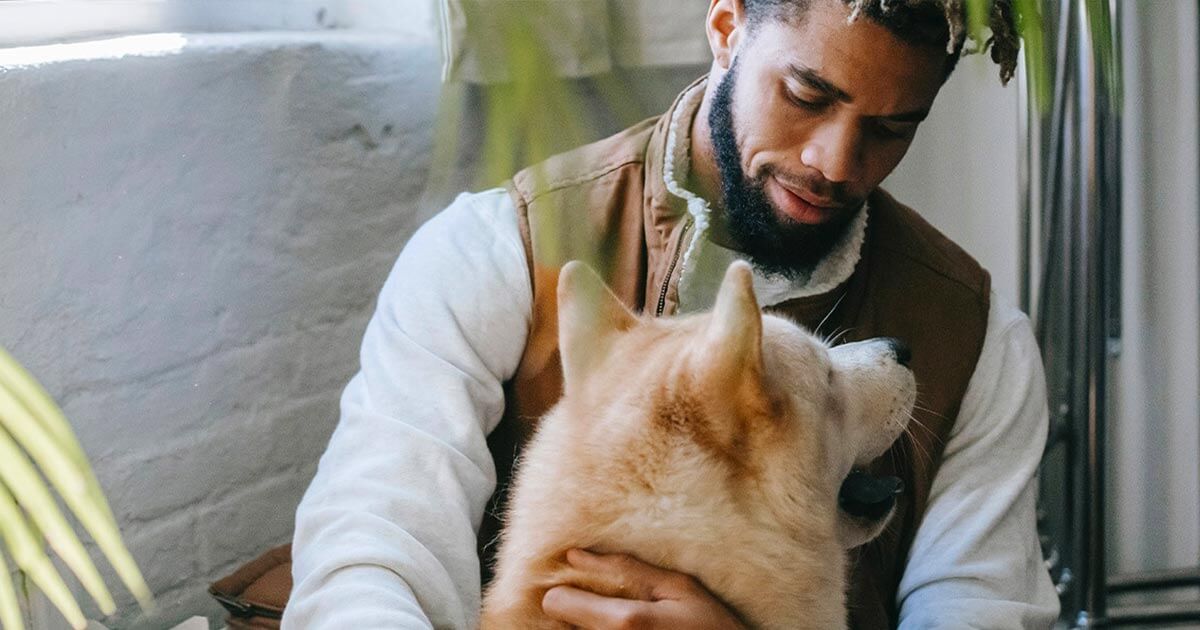 The Benefits of Pets