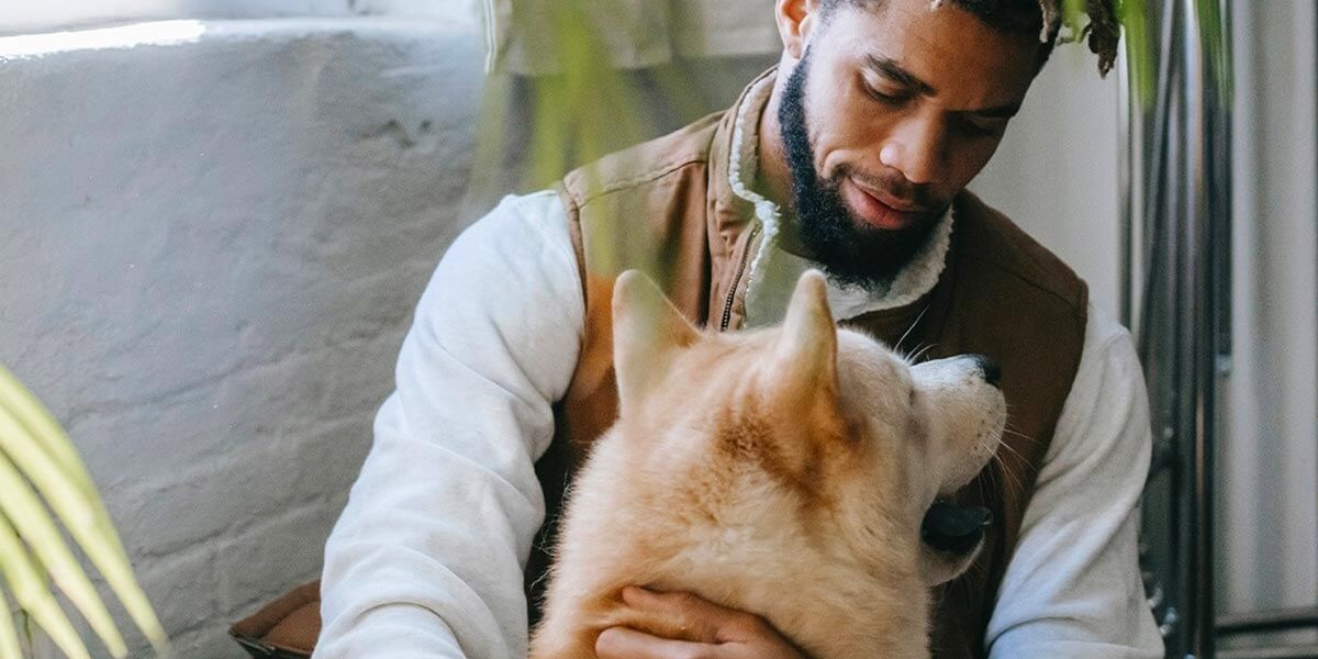 The Benefits of Pets