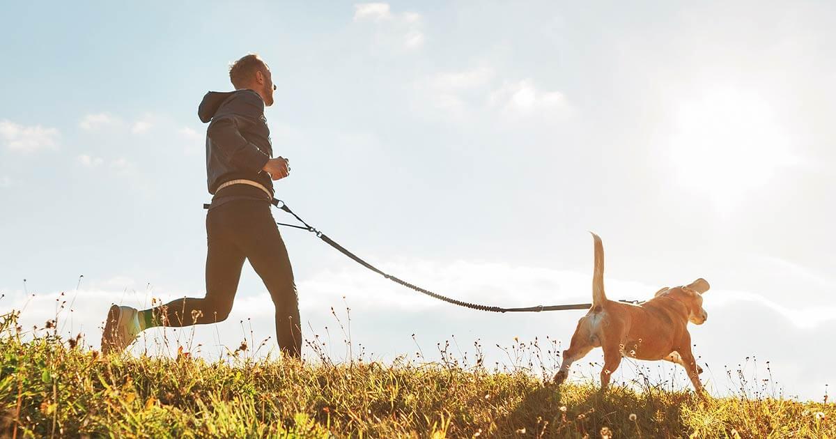 Someone running in a grassy area with their dog on a leash, sunny sky in the background.