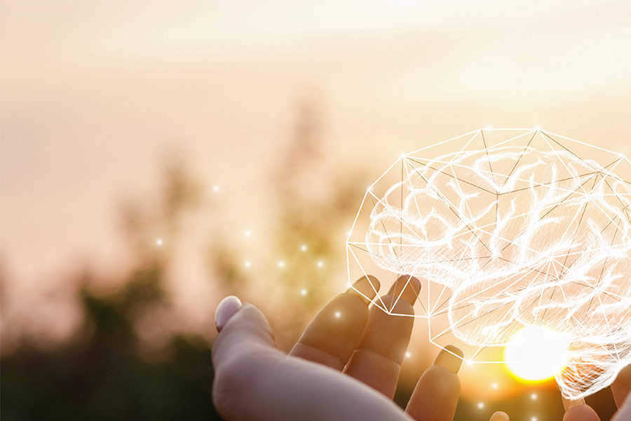 Holding a hologram brain